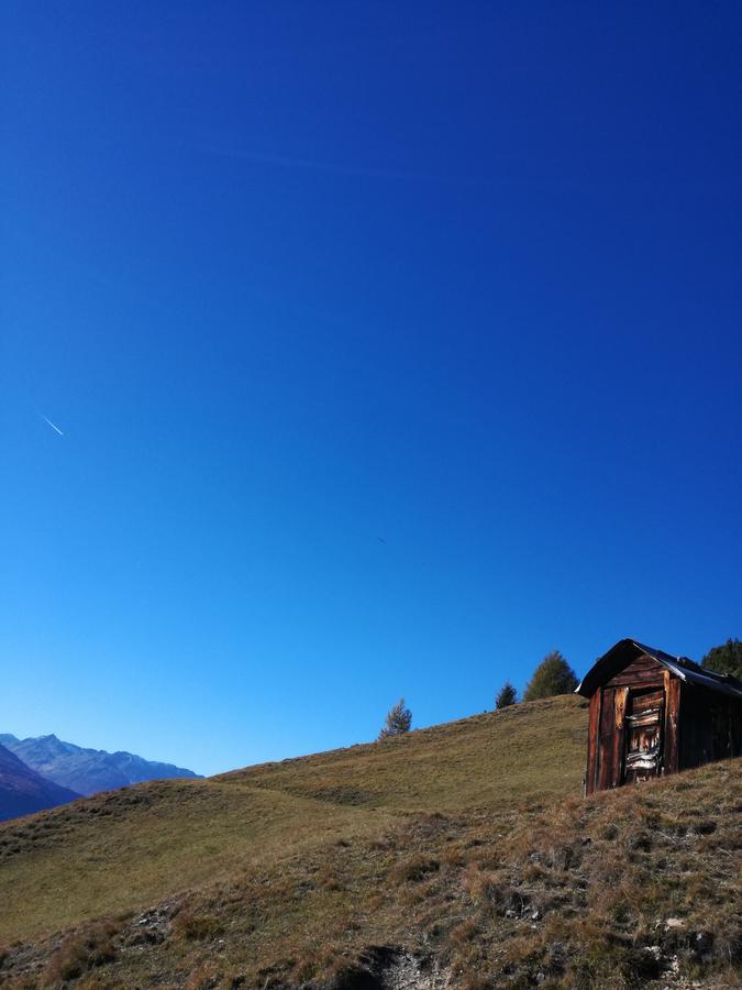 Hotel Cevedale Santa Caterina Valfurva Dış mekan fotoğraf